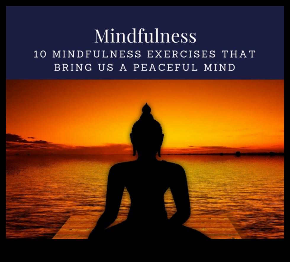 מדיטציית מוחות שלווים עבורך בריא יותר 4 מוחות שלווים: שינוי בריאות הנפש היומית באמצעות מדיטציה