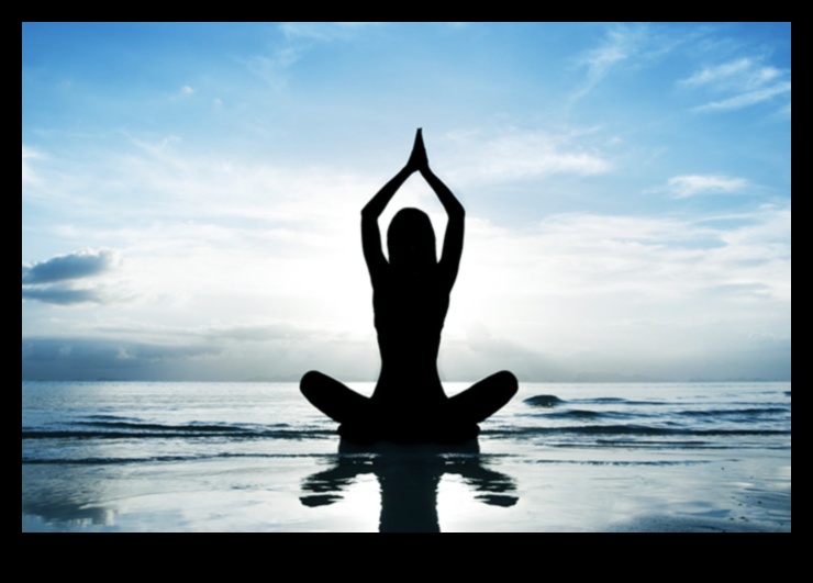 מדיטציית מוחות שלווים עבורך בריא יותר 3 מוחות שלווים: שינוי בריאות הנפש היומית באמצעות מדיטציה