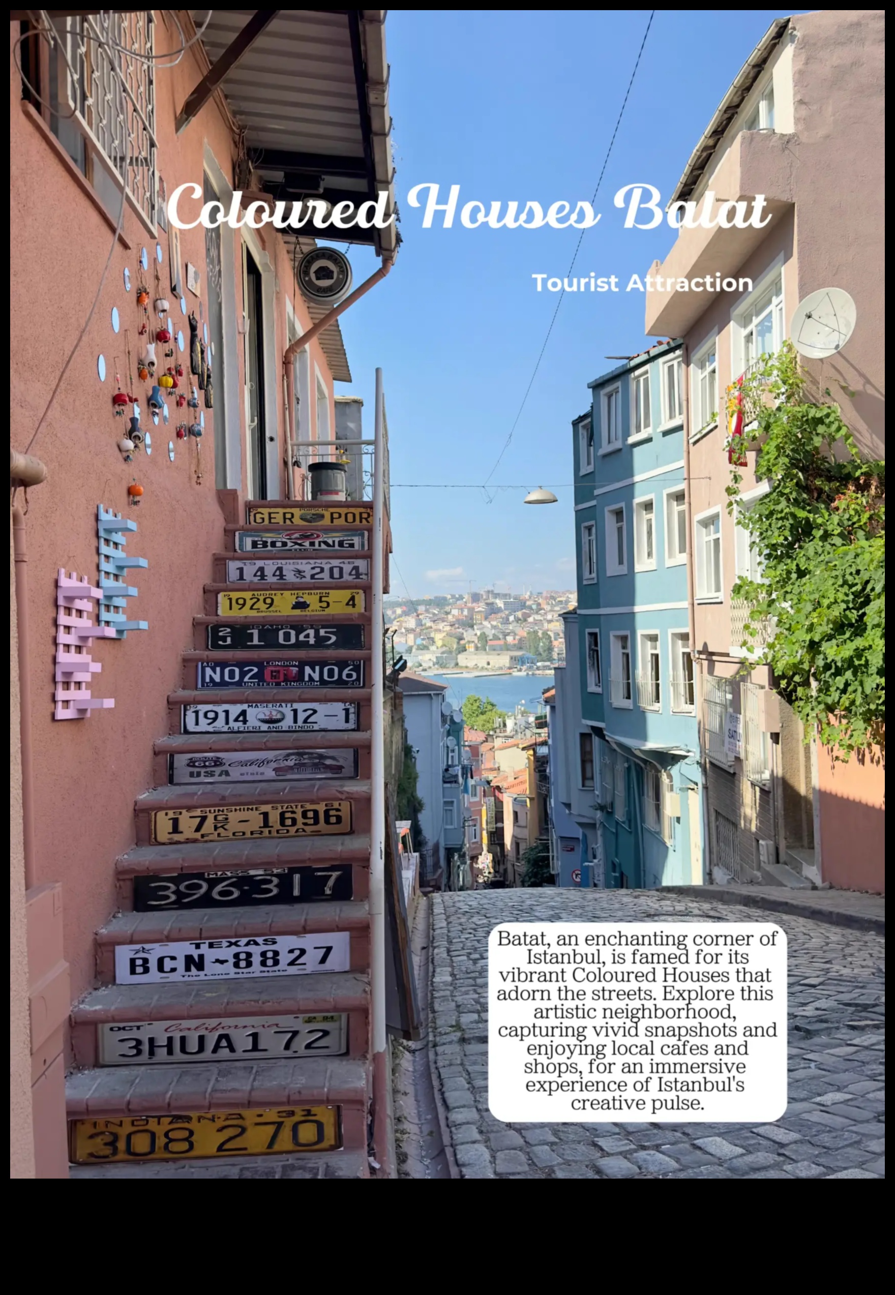 Vivid Ventures: המלצות על סיור לחוויות צבעוניות