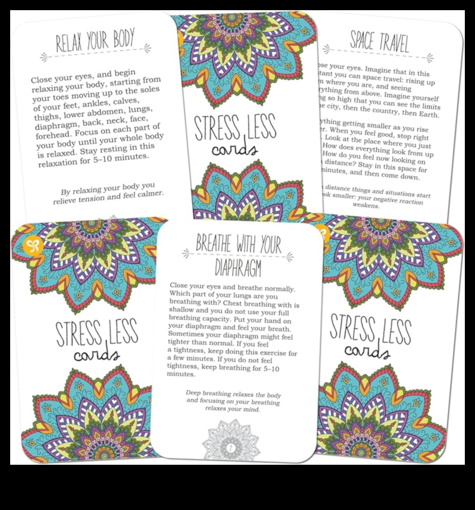 חיים בזנים: חיים בזרימה של טכניקות יעילות להפחתת מתחים מודעת