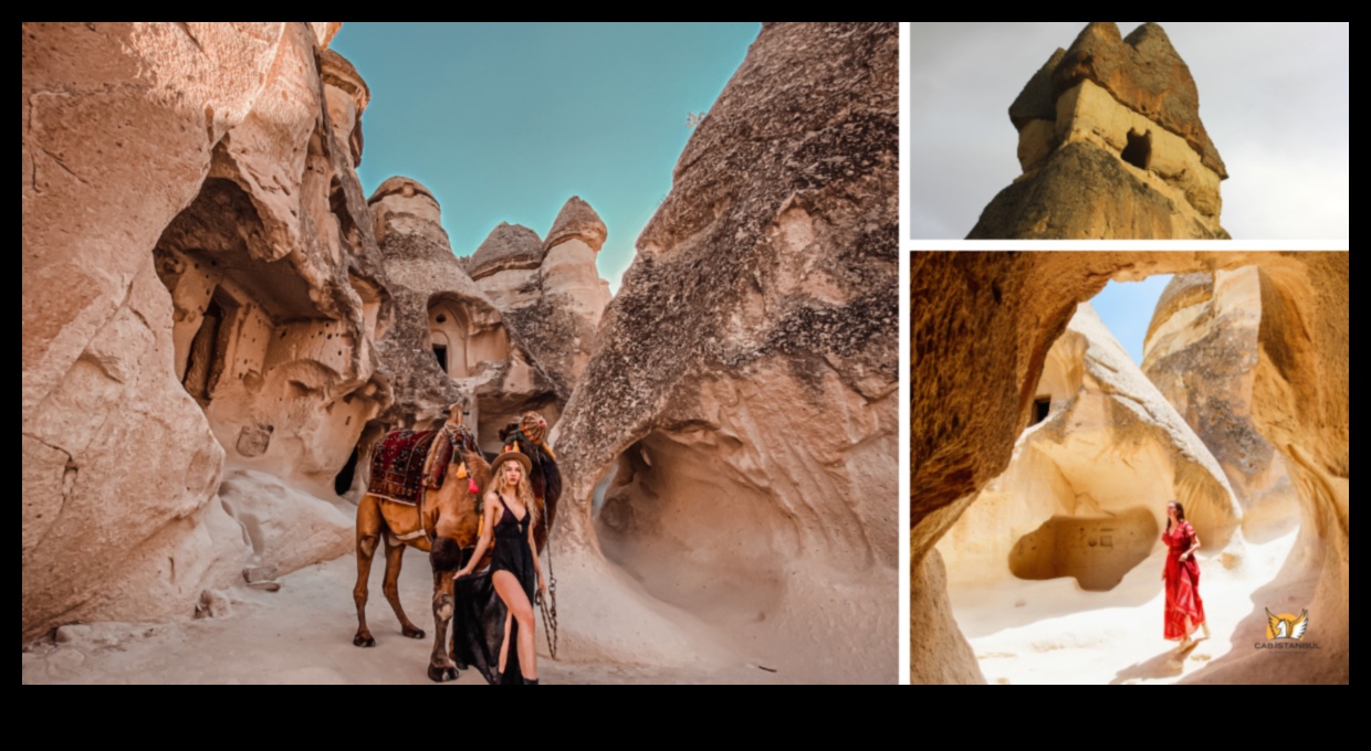 קדשים מפוסלים: ניווט במרחבים המקודשים של ההיסטוריה