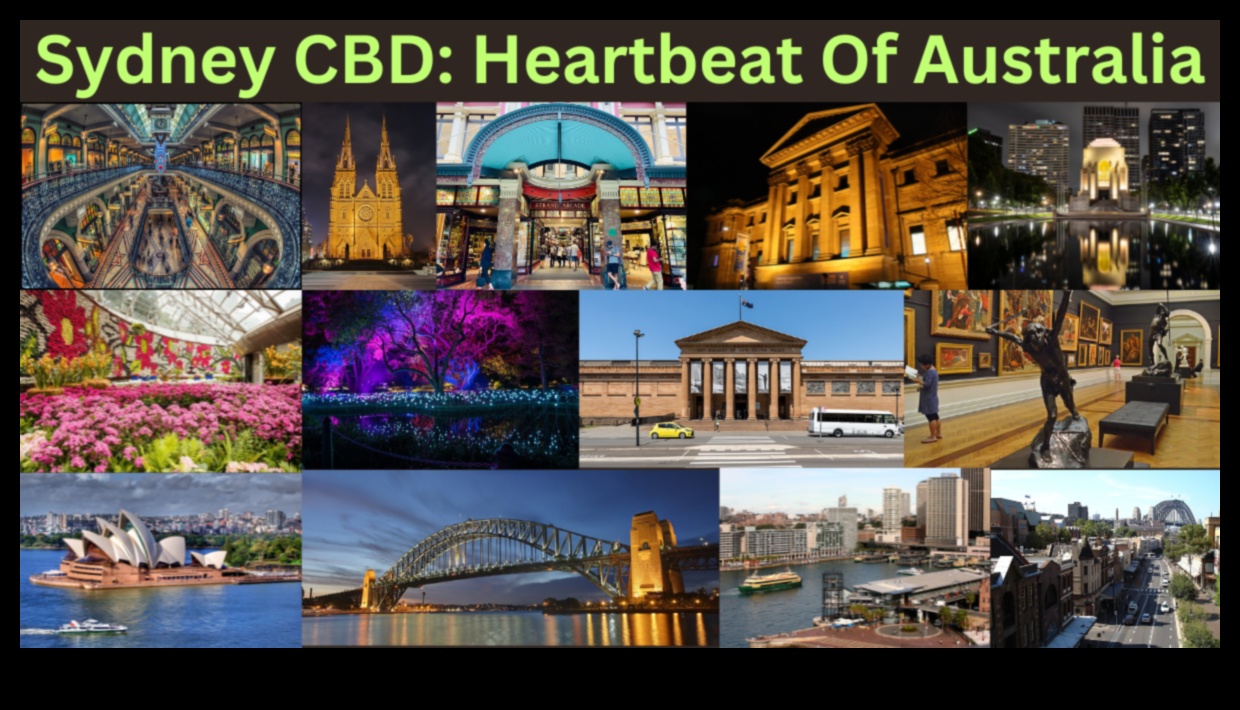 אנסמבלים אפיים: סימפוניה עולמית של ציוני דרך