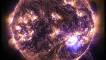 Stellar Soiree: חגיגה שמימית של תופעות פלנטריות