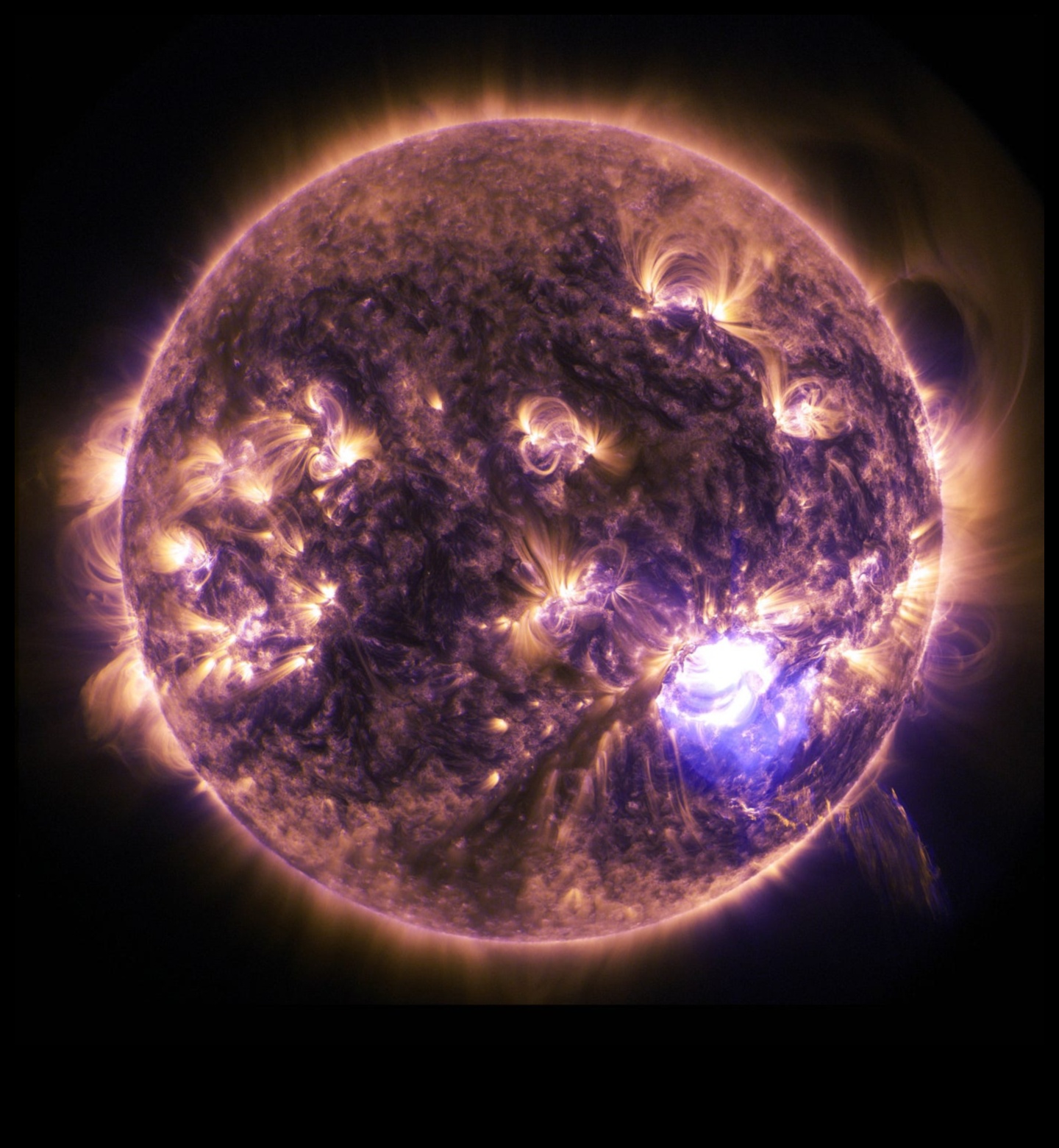 Stellar Soiree חגיגה שמימית של תופעות פלנטריות 1 Stellar Soiree: חגיגה שמימית של תופעות פלנטריות