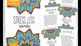 חיים בזנים: חיים בזרימה של טכניקות יעילות להפחתת מתחים מודעת