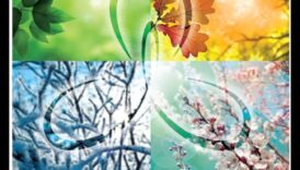 גילויים משוטטים: נתיב של נוסע לגילוי עצמי