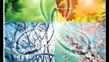 גילויים משוטטים: נתיב של נוסע לגילוי עצמי