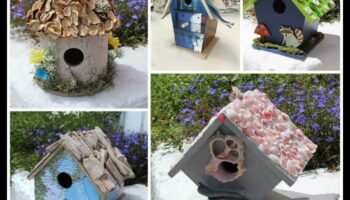 ילדים עשה זאת בעצמך חברים נוצות: יצירה של בתי ציפורים ומאכילי ציפורים