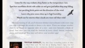 ניווטים בשכונה: חקירת פלאים מקומיים לא ידועים