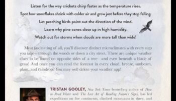 ניווטים בשכונה: חקירת פלאים מקומיים לא ידועים